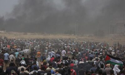 relatora-da-onu-diz-que-israel-comete-genocidio-na-faixa-de-gaza